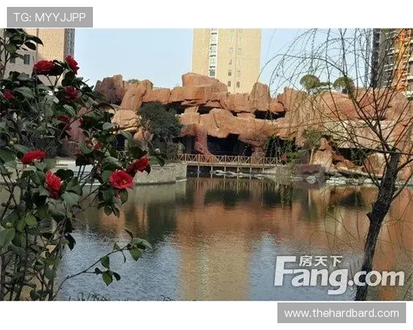 大阳城集团娱乐网加大内容创新力度,打造高品质娱乐内容新标杆